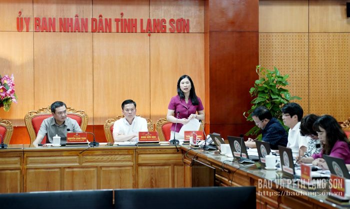 Đồng chí Trần Thanh Nhàn, Phó Chủ tịch UBND tỉnh phát biểu tại cuộc họp