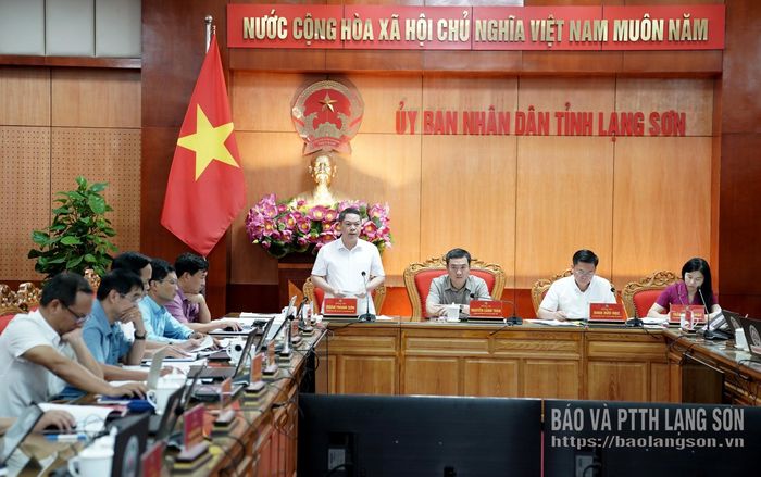 Đồng chí Đoàn Thanh Sơn, Phó Chủ tịch UBND tỉnh phát biểu tại cuộc họp