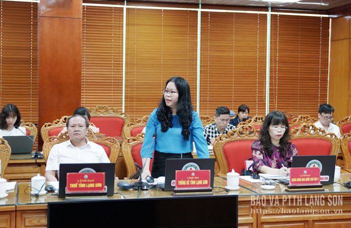 Lãnh đạo Thống kê tỉnh báo cáo về công tác thống kê tại cuộc họp