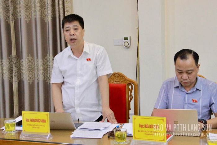 Thành viên đoàn giám sát phát biểu thảo luận