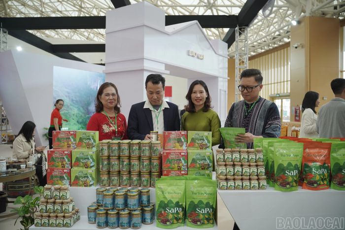 Không gian trưng bày sản phẩm OCOP, nông sản đặc trưng, văn hóa - du lịch của tỉnh Lào Cai tại Hội chợ mùa xuân 2026.