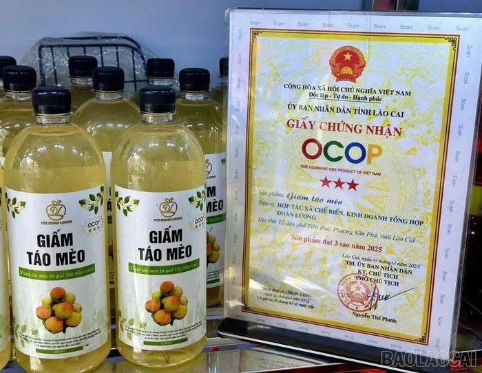 Sản phẩm giấm táo mèo của Hợp tác xã Chế biến, Kinh doanh tổng hợp Đoàn Lương đạt tiêu chuẩn OCOP 3 sao.