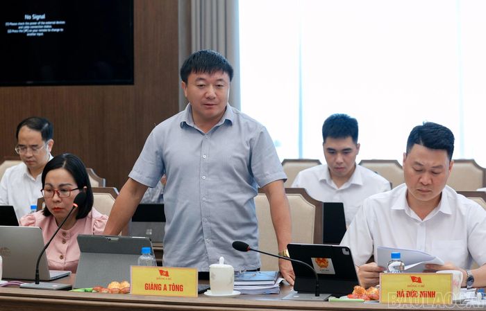 Các đại biểu phát biểu tại hội nghị.