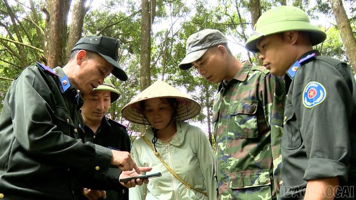 Ban quản lý ứng dụng hiệu quả công nghệ thông tin trong theo dõi diễn biến rừng, giúp kiểm soát chặt chẽ toàn bộ diện tích được giao.
