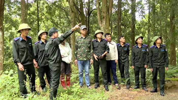 Cán bộ Ban Quản lý rừng phòng hộ Trạm Tấu cùng các tổ nhận khoán bảo vệ rừng tổ chức tuần tra, kiểm soát trên các diện tích rừng được giao quản lý.