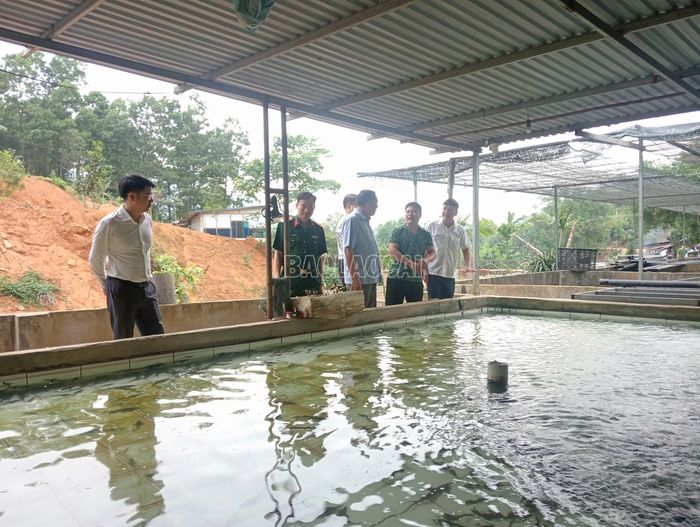 Lãnh đạo tỉnh thăm một số mô hình nuôi cá tầm ở Việt Hồng.