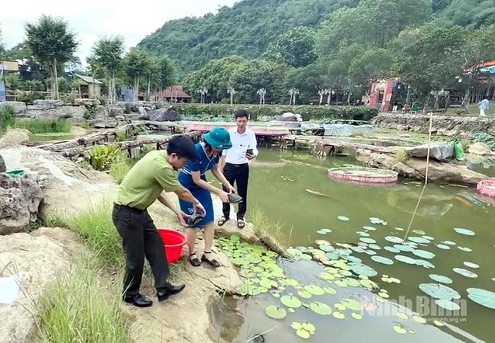 Thả các cá thể rùa về môi trường tự nhiên tại Khu du lịch sinh thái Thung Nham, phường Nam Hoa Lư.