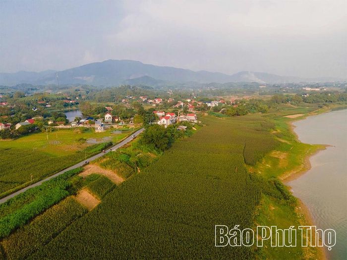 Dọc hai bên bờ sông, những triền đê uốn cong mềm mại như dải lụa xanh ôm lấy xóm làng.