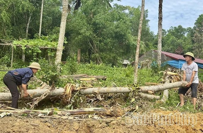 Người dân tự nguyện hiến đất, thu dọn cây cối vật kiến trúc giải phóng mặt bằng cho Dự án.