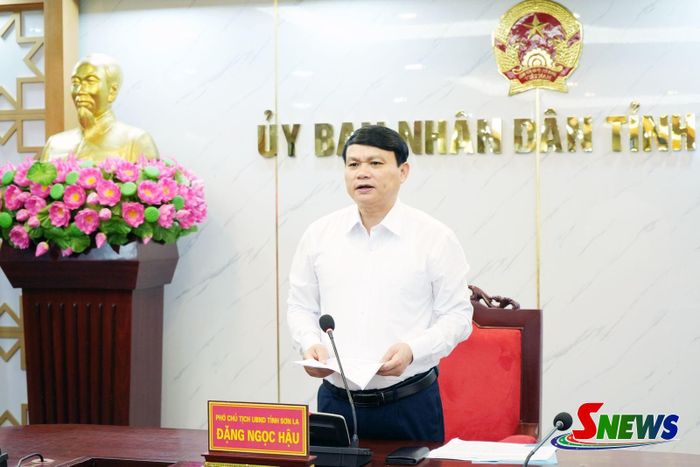 Đồng chí Phó Chủ tịch UBND tỉnh phát biểu kết luận cuộc họp.