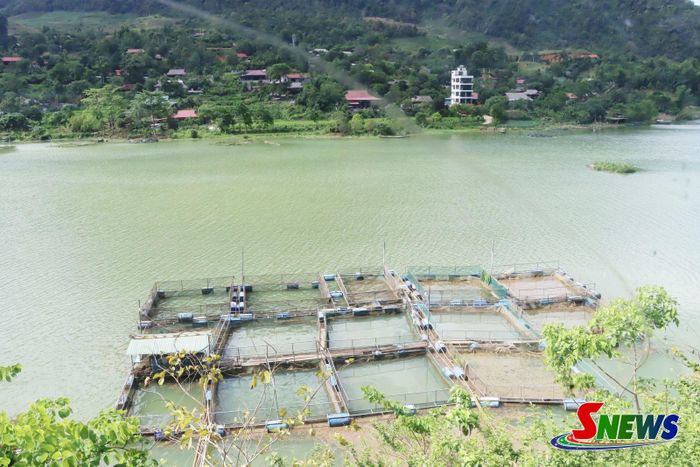Mô hình nuôi cá lồng của nhân dân xã Mường Cơi.