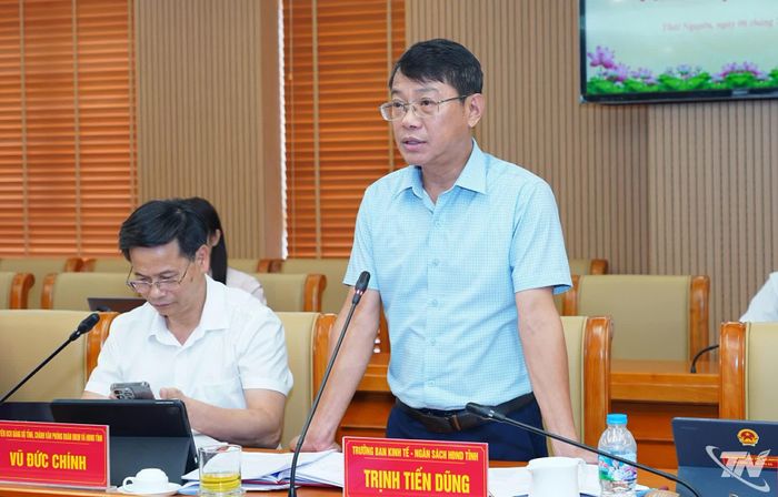 Lãnh đạo Ban Kinh tế - Ngân sách HĐND tỉnh phát biểu.