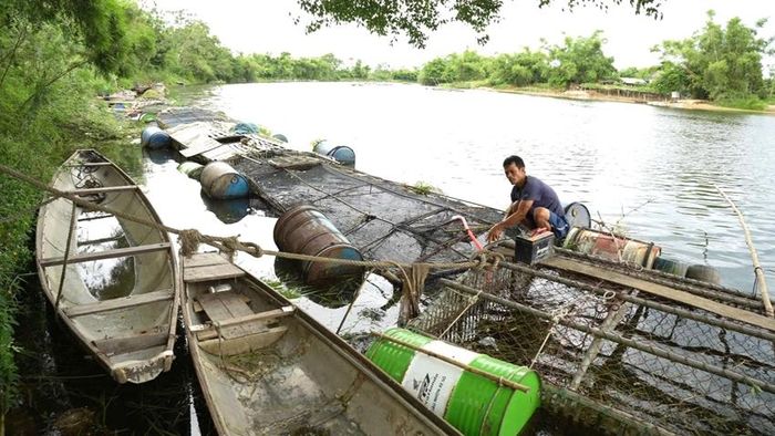 Người nuôi túc trực bên lồng cá để tăng cường sục khí, tăng mật độ oxy trong nước 