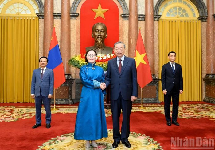 Tổng Bí thư, Chủ tịch nước Tô Lâm tiếp Đại sứ Mông Cổ Ganbaatar Hulan. Ảnh: Nhandan.vn