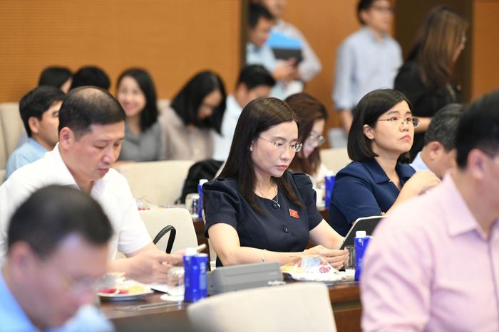 Các đại biểu tham dự cuộc họp