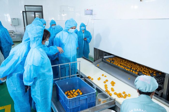 Đoàn công tác khảo sát dây chuyền sản xuất trứng gà ăn liền Devi của Dabaco