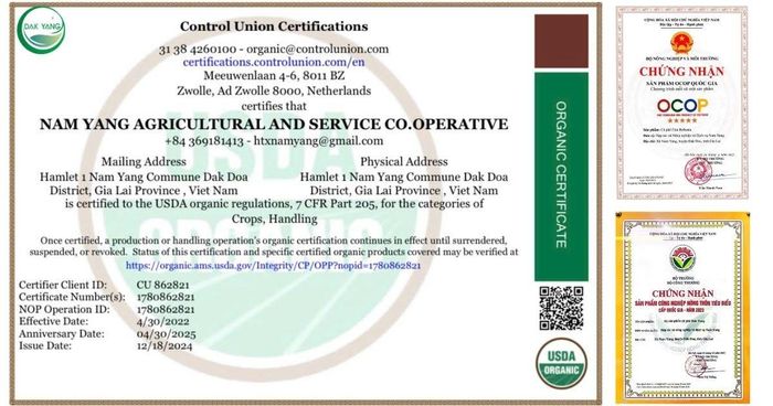OCOP 5 sao cùng các chứng nhận quốc tế và hệ thống sở hữu trí tuệ đang giúp HTX Nam Yang nâng tầm cà phê, hồ tiêu Gia Lai, mở rộng cơ hội vươn ra thị trường toàn cầu.