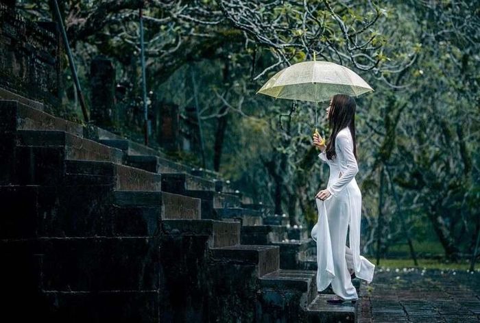 Ảnh minh họa/ Nguồn: Internet