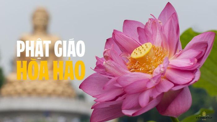 Hình mang tính minh họa. Nguồn: Internet
