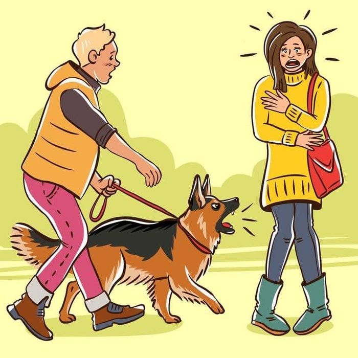 Giống như con người, chó cũng có ký ức và trải nghiệm. Ảnh minh họa.