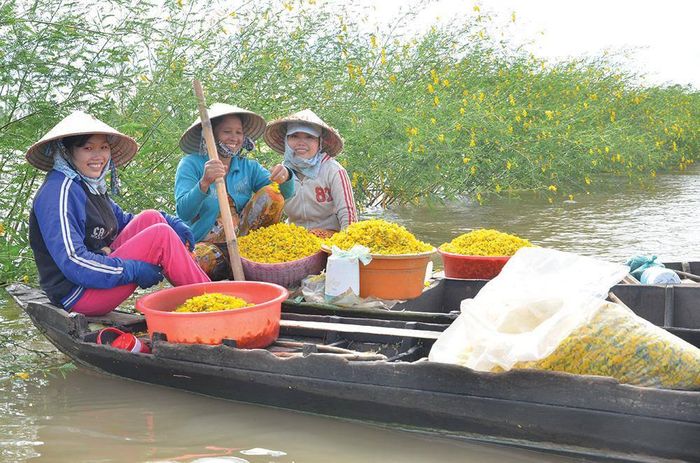 Tình làng nghĩa xóm đong đầy qua những mùa bông điên điển