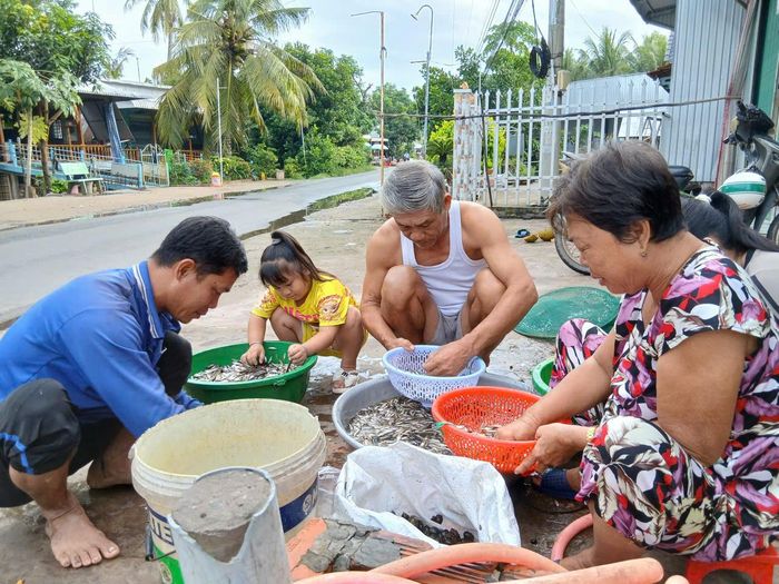 Người dân đồng bằng cùng lựa các loại cá về theo con nước