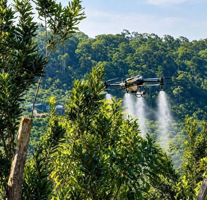 Tổ chuyển đổi số bon Bu Lum đã bước đầu triển khai mô hình ứng dụng thiết bị bay không người lái (drone) trong phun thuốc bảo vệ thực vật