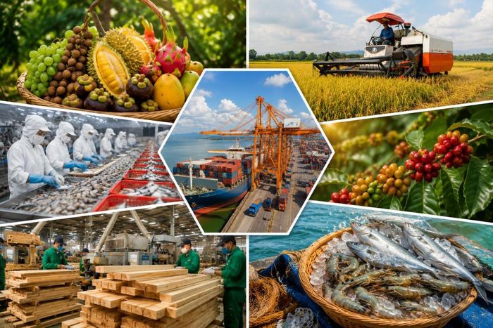 Theo Bộ Nông nghiệp và Môi trường, tổng kim ngạch xuất khẩu nông, lâm, thủy sản 6 tháng đầu năm 2026 ước đạt 35,88 tỷ USD, tăng 6% so với cùng kỳ năm trước. Ảnh: minh họa