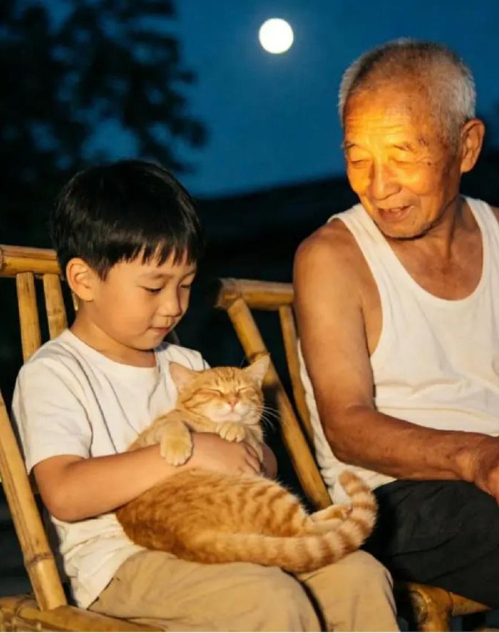 Mèo vượt ra khỏi “công cụ bắt chuột” đơn thuần mà trở thành người bạn đối với nhiều người Trung Quốc.