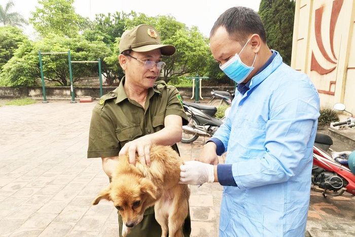 Tiêm vắc xin phòng dại cho chó tại xã Đại Xuyên (Hà Nội).