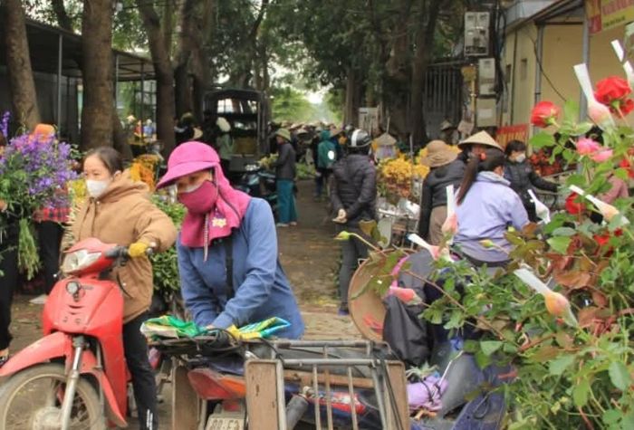Chợ đầu mối hoa ở xã Mê Linh đã được quy hoạch vào khu vực mới không lấn chiếm lòng đường. Ảnh: Đức Tuấn