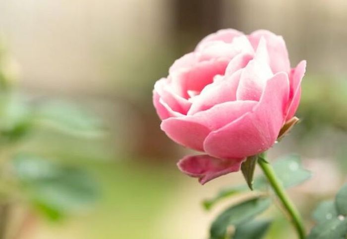 Một ưu điểm nổi bật khác của người sinh tháng 5 Âm lịch là khả năng xây dựng các mối quan hệ. Ảnh minh họa