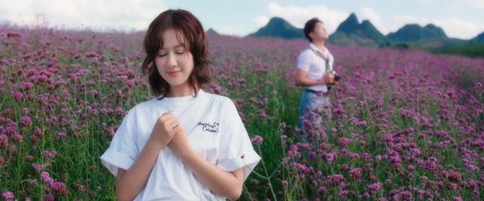 Những hình ảnh tuyệt đẹp và vô cùng lãng lạn như đồi chè Mocha Hill, thảo nguyên, vườn hoa tím, khu rừng thông,… và không gian đồng cỏ mênh mông đã tạo ra những cảm xúc rất bay bổng cho người xem.