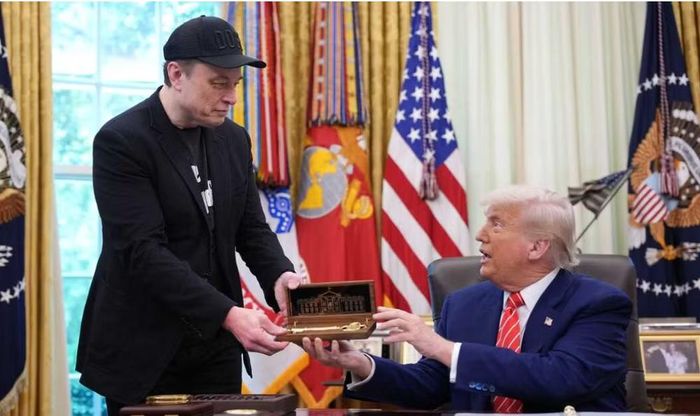 Trong giai đoạn đầu hoạt động, DOGE nhận được sự chú ý lớn khi tỷ phú Elon Musk trực tiếp giám sát các chương trình cải tổ với tư cách "nhân viên chính phủ đặc biệt".
