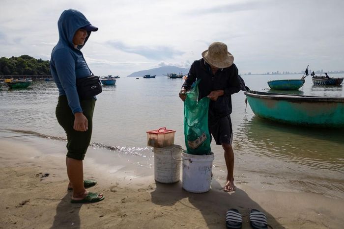 Chiếc thúng cập bờ sau một đêm đánh bắt với những mẻ hải sản tươi. Từ những chuyến biển ấy, nghề làm nước mắm Nam Ô đã hình thành và tồn tại suốt hàng trăm năm. Ảnh: Xuân Quý - TTXVN