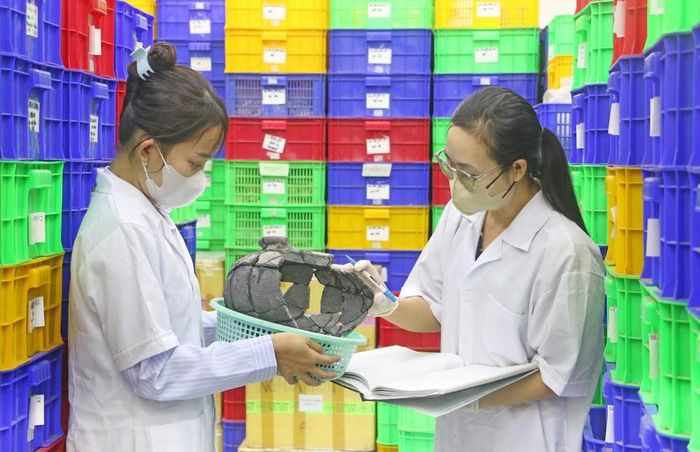 Cán bộ, nhân viên Ban Quản lý Di tích văn hóa Óc Eo (tỉnh An Giang) đang chỉnh lý, sắp xếp lại kho lưu trữ hiện vật đã được khai quật, phục vụ công tác trung bày và quá trình đánh giá của đoàn chuyên gia quốc tế. Ảnh: Công Mạo - TTXVN