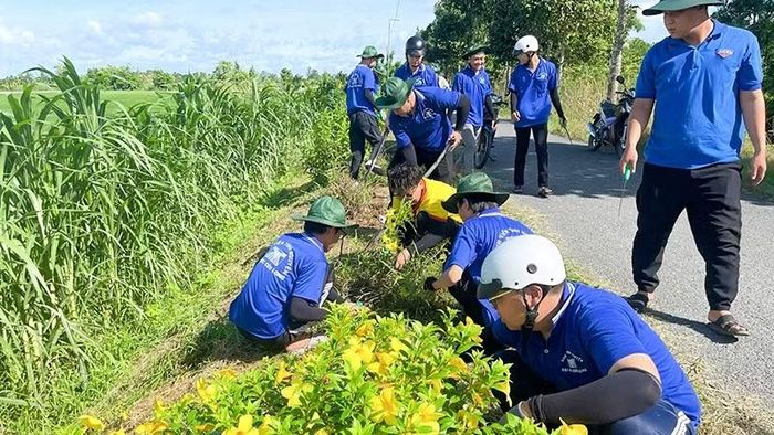 Tuổi trẻ Vĩnh Long tham gia tuyến đường hoa tại xã Phú Quới, tỉnh Vĩnh Long.