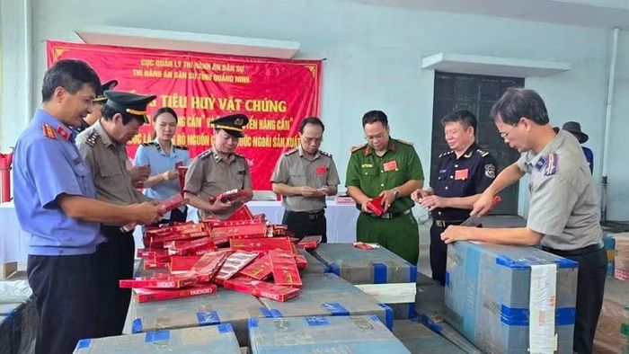 Hội đồng tiêu hủy giám sát toàn bộ số vật chứng trước khi tiêu hủy.