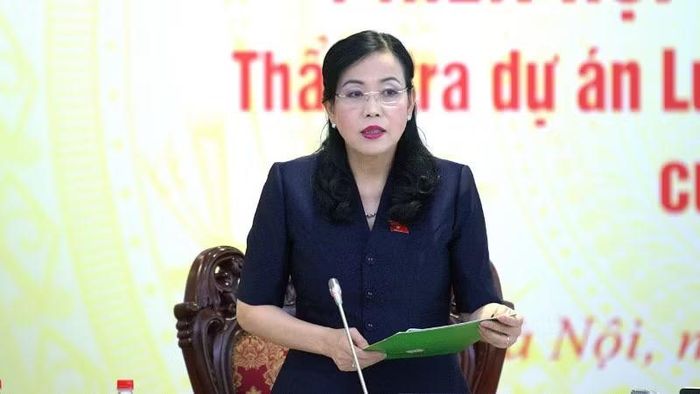 Chủ nhiệm Ủy ban Khoa học, Công nghệ và Môi trường Nguyễn Thanh Hải phát biểu tại phiên họp. (Ảnh: QH)