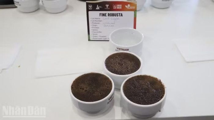 Cà-phê đặc sản Fine Robusta Đắk Lắk.