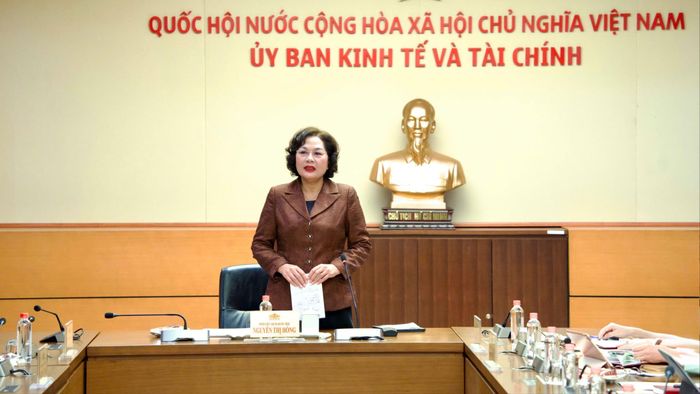Phó Chủ tịch Quốc hội Nguyễn Thị Hồng phát biểu tại buổi làm việc. Ảnh: CẨM HÀ