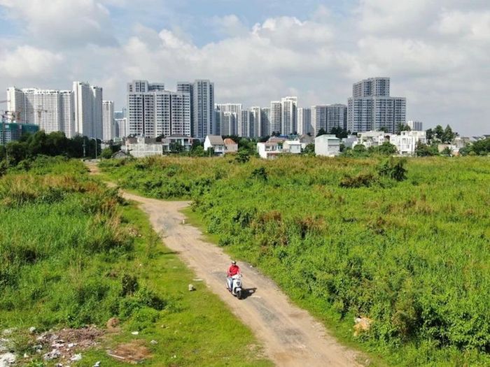 Một số khu đất tại TPHCM được đưa ra đấu giá. Ảnh: HOÀNG HÙNG