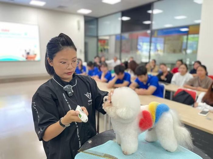 Diễn giả cắt tỉa lông thú cưng tại hội thảo chuyên đề "Ngành Grooming hiện đại: Khoa học lâm sàng, nghệ thuật tạo hình và tư duy kinh doanh".