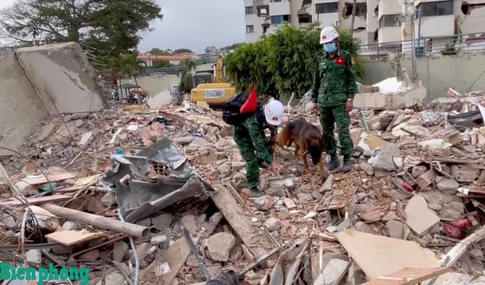 Huấn luyện viên kiểm tra, đánh dấu vị trí do chó nghiệp vụ phát hiện trước khi bàn giao cho lực lượng công binh tổ chức đào bới. Ảnh: Quốc Hương