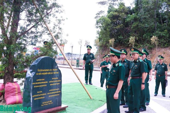 Đoàn công tác kiểm tra khu vực trồng cây hữu nghị biên giới Lào - Việt Nam và Việt Nam - Lào. Ảnh: Dân Chủ