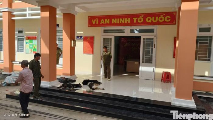Lực lượng chức năng thu giữ tang vật là 4 con chó. Ảnh: Nguyễn Tiến