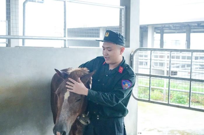 Chú ngựa tên Red và Trung úy Nguyễn Phi Hải, Đội 3, Đoàn CSCĐ Kỵ binh bịn rịn bên nhau trước giờ chia tay