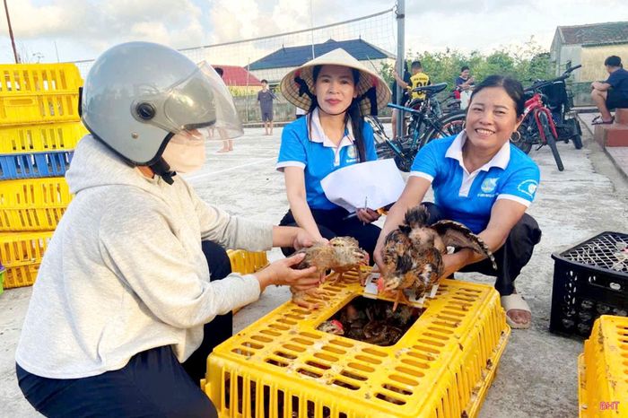 Hội LHPN xã Kỳ Anh tổ chức ra mắt mô hình "Tổ hợp tác chăn nuôi gà", phối hợp Hội LHPN tỉnh trao tặng 1.500 con gà, tổng trị giá 105 triệu đồng cho 30 hộ gia đình hội viên phụ nữ trên địa bàn dịp đầu tháng 7/2026.