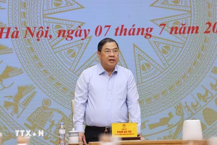 Phó Thủ tướng Thường trực Phạm Gia Túc, Trưởng ban Chỉ đạo quốc gia chống buôn lậu, gian lận thương mại và hàng giả phát biểu. Ảnh: Lâm Khánh/TTXVN.