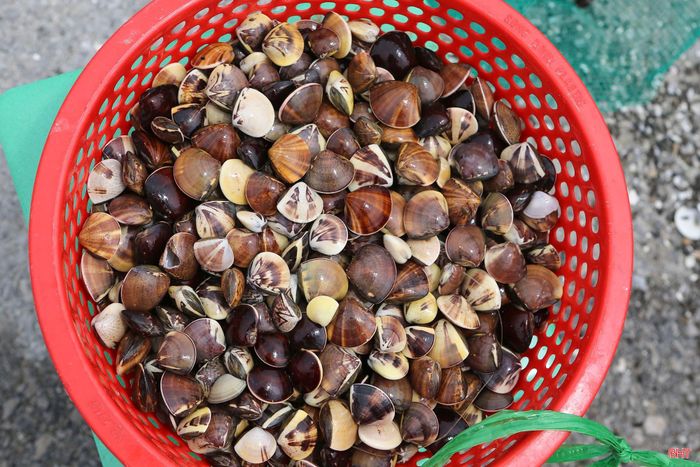 ... để nhập cho thương lái.